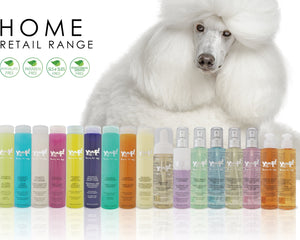 Collection image for: Yuup!