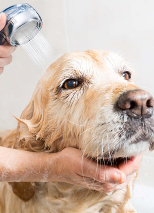 Nagayu Spa Starter Kit