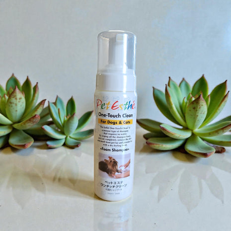 One-Touch Clean Foam Shampoo 180g | exclusive shampoo without water