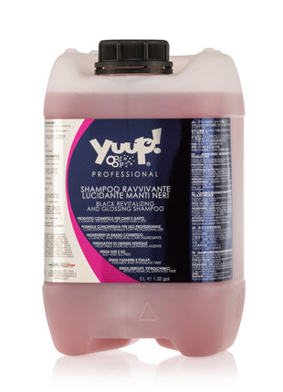 Color-refreshing shine shampoo for black fur | Yuup!-Professional