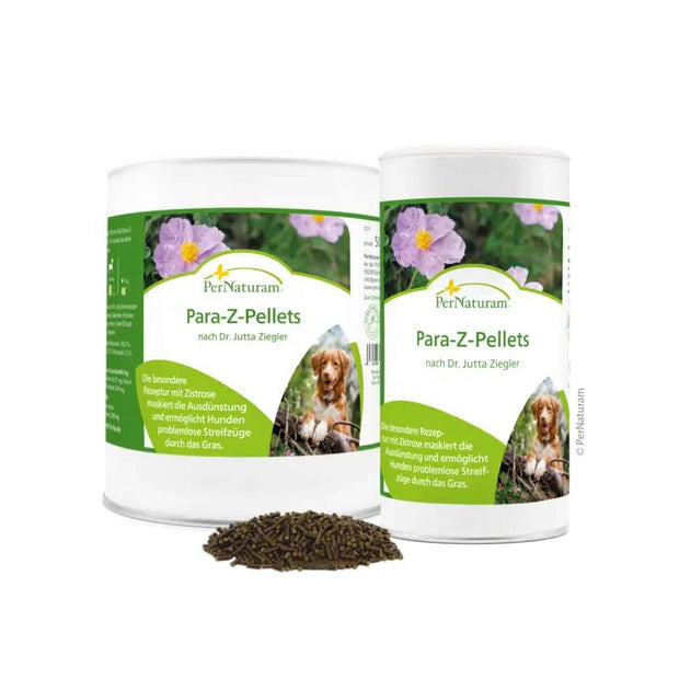 <h2>Schütze deinen Hund vor Zecken <br/>Jetzt 10 % Rabatt – nur für kurze Zeit!</h2>