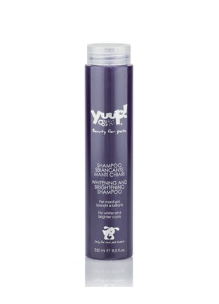 Shampoo for light hair | 250ml | Yuup! Home